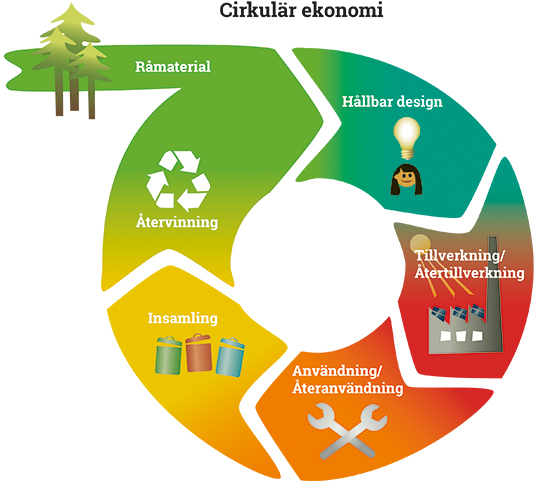 Illustration över det cirkulära konsumtionssystemet.